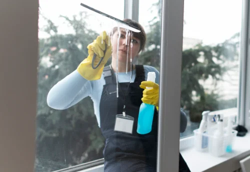 Nettoyage de vitres intérieures et extérieures à Pontvallain